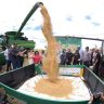 abertura da colheita de soja 2025 6