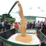 Abertura da Colheita de Soja 2025 6