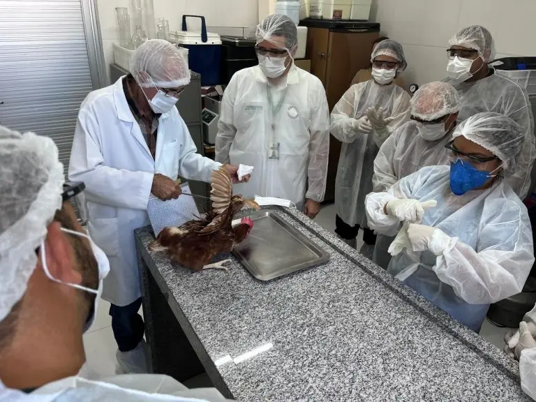 Capacitacao Aderr sobre Sanidade Aviaria Ascom Aderr 2
