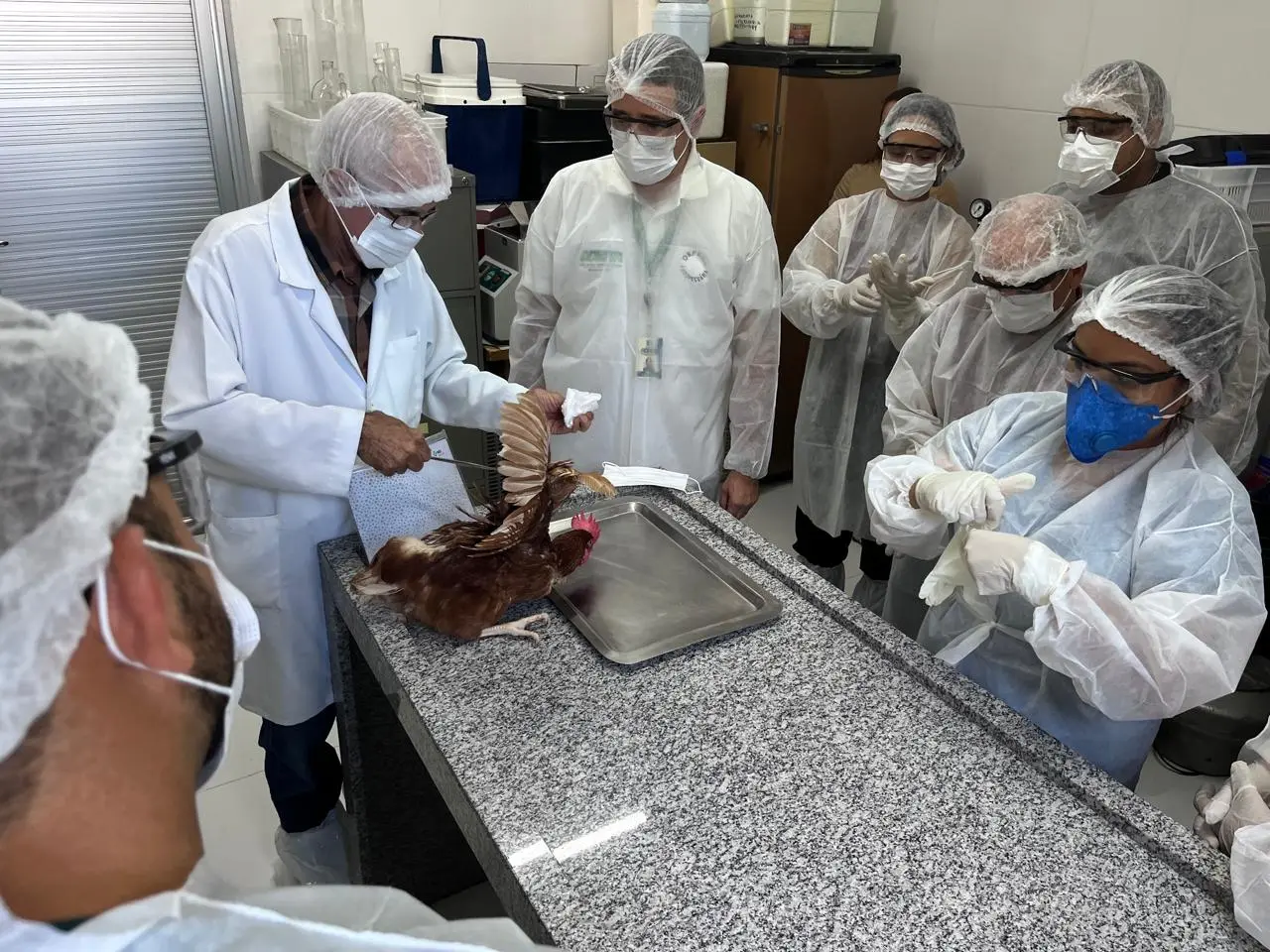 Capacitacao Aderr sobre Sanidade Aviaria Ascom Aderr 2