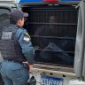homem preso por furto de hidrometro em boa vista ascom caer 2