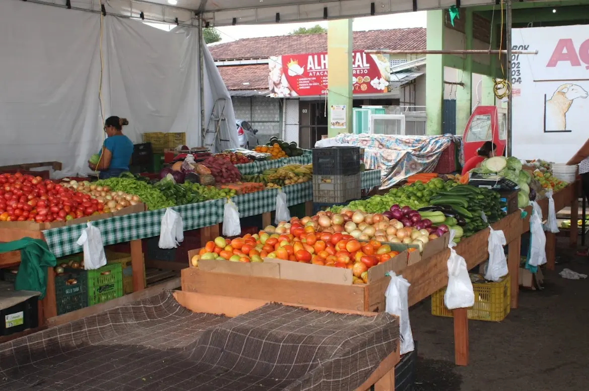 BLOCO ANEXO E COLETA Governo de Roraima inicia reforma da Feira do Produtor com investimento de R$ 1,5 milhão 1 Reforma da Feira do Produtor Venicius Carvalho Ascom Iater 4