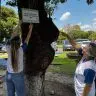 Projetos socioambientais da caer 1 scaled