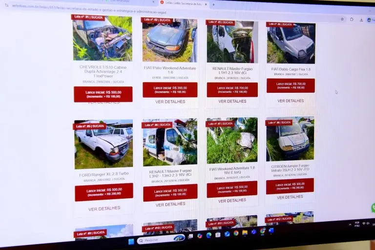 Site da WR Leiloes Fernando Oliveira Secom RR 1