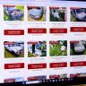 site da wr leiloes fernando oliveira secom rr 1
