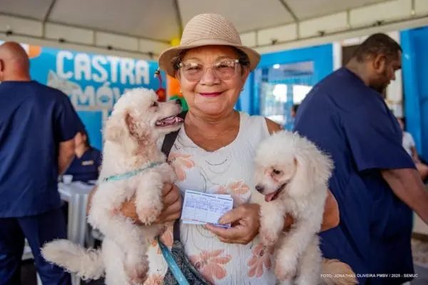 c88c2ef45781f8ed6ef6b80ac5cb0911