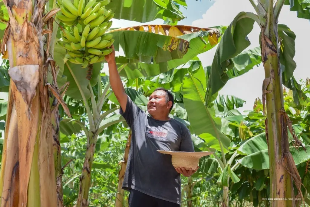 Prefeitura assegura alimentação segura nas comunidades indígenas de Boa Vista. 1 f36ba645d0452b59267b698525c0eb5f