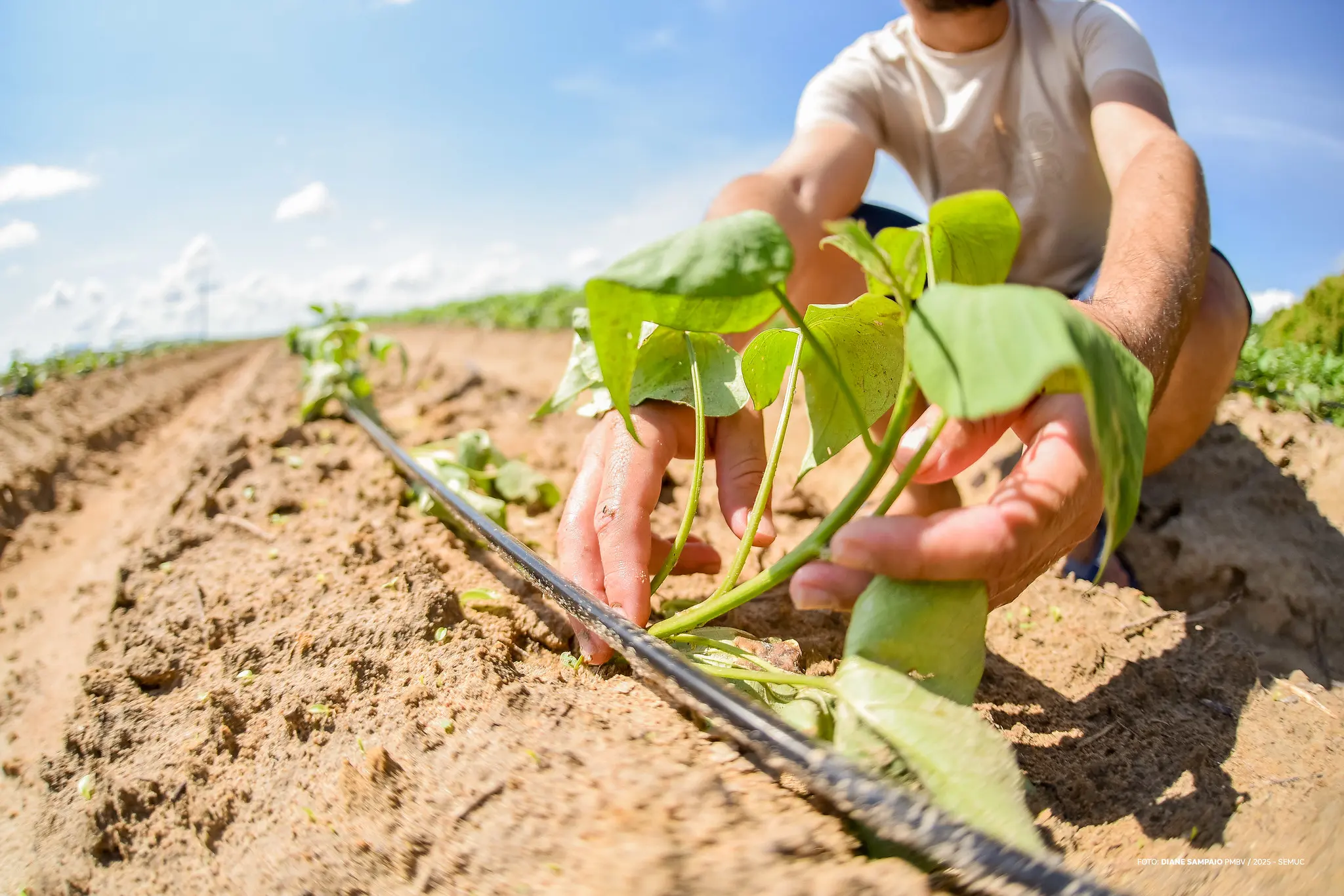 1760198169 292 Jovens fortalecem sucessao e inovacao na agricultura familiar