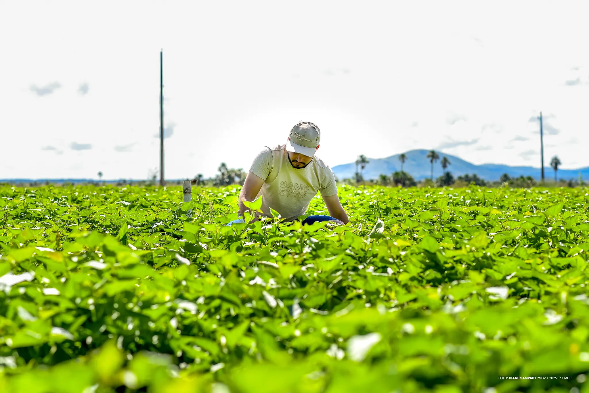 1760198169 769 Jovens fortalecem sucessao e inovacao na agricultura familiar
