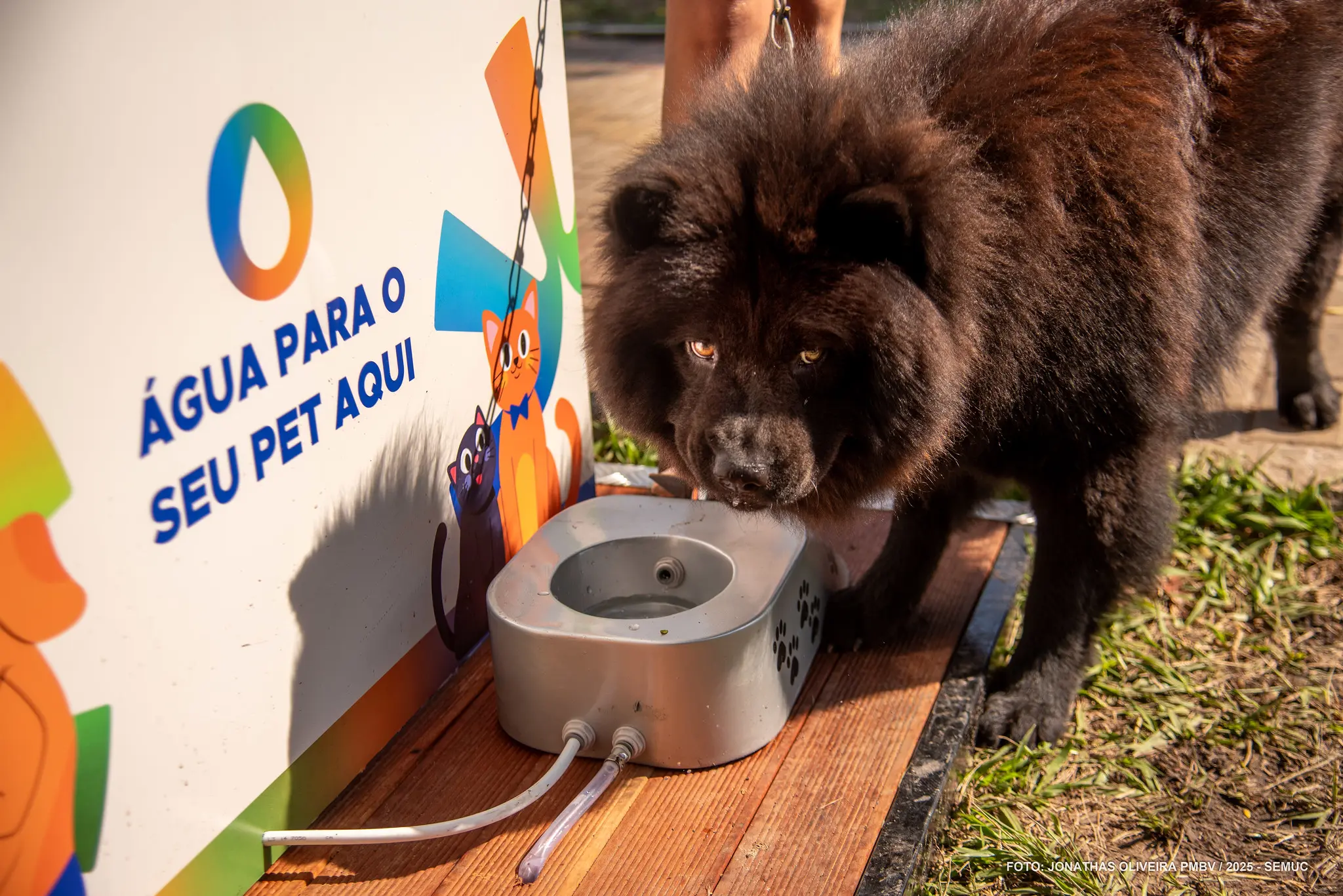 1760458766 615 Boa Vista instala cabines de hidratacao para pessoas e animais