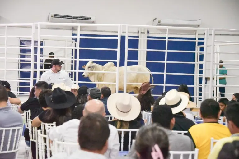 Leiloes da Expoferr Show 2