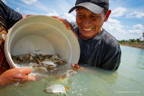 54903279842 b7f9edfb62 k1