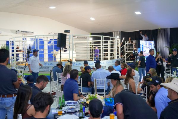 CREATORS AND INVESTORS: Auctions Showcase Top Cattle Genetics, Attracting Buyers from Across Brazil to Roraima – Roraima Agro Show 3 Agenda de leiloes da Expoferr 2025 William Roth Secom RR 1