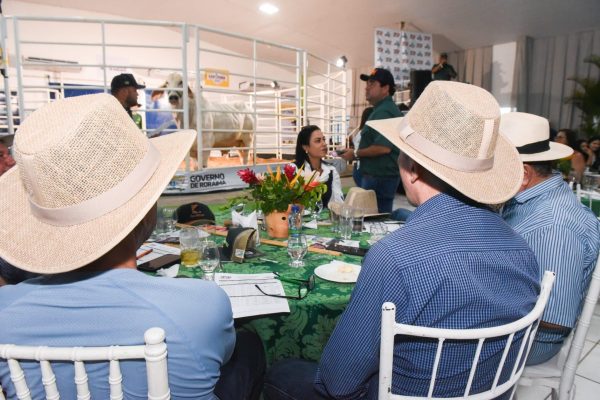 Balanco dos leiloes de animais realizados na Expoferr Show 2025 Neto Figueredo Secom RR 2 scaled