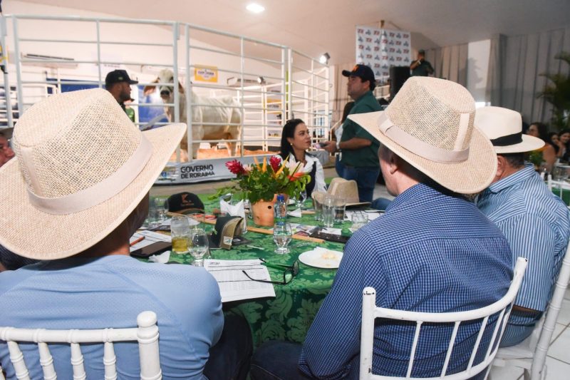 Balanco dos leiloes de animais realizados na Expoferr Show 2025 Neto Figueredo Secom RR 2 scaled
