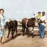 Expoferr Show resgata memoria de pioneiro que ajudou a moldar a historia da agropecuaria roraimense
