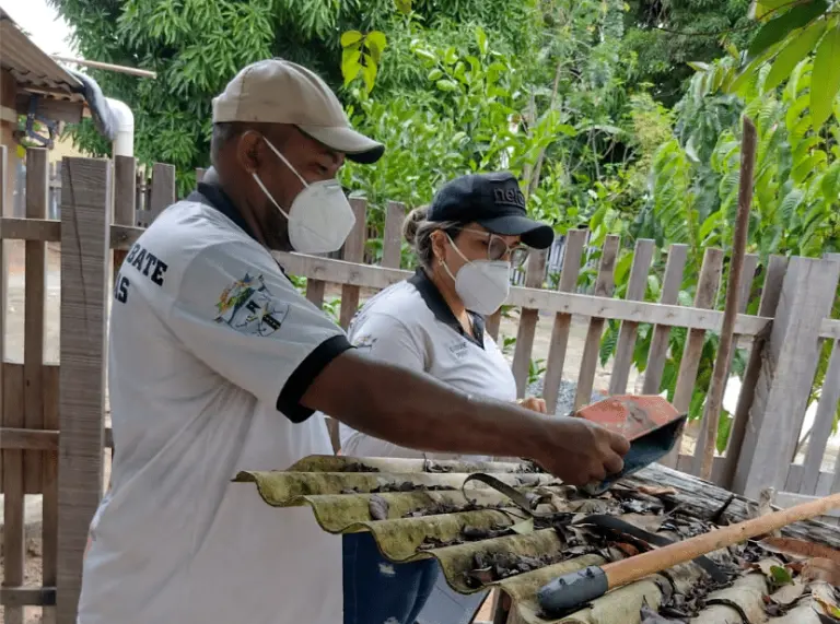 Roraima realiza Dia D de combate ao Aedes aegypti Ascom Sesau 1