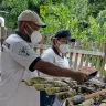 Roraima realiza Dia D de combate ao Aedes aegypti Ascom Sesau 1