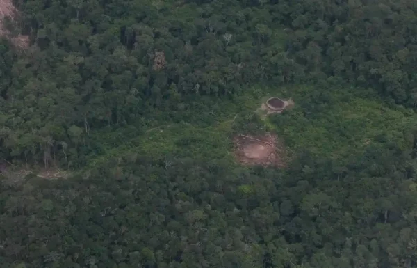Licenciamento Ambiental: Região Sul contabiliza mais de 15 mil solicitações em avaliação 3 bygVtxPEzAV4onXozNAV3SQj.webp