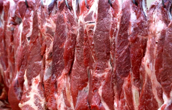 Brasil alcança 500 mercados com acordo fechado para exportação de carne bovina à Guatemala 2 xm3ziqcyv9wXyiZkq4T2seNs.webp