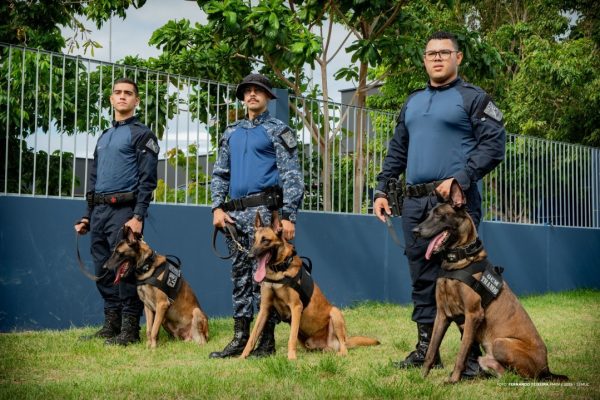 54310896309 8458be3a1a k