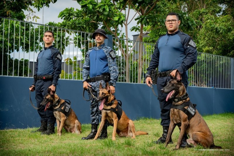 Boa Vista abre credenciamento para serviços médico-veterinários do canil 1 54310896309 8458be3a1a k