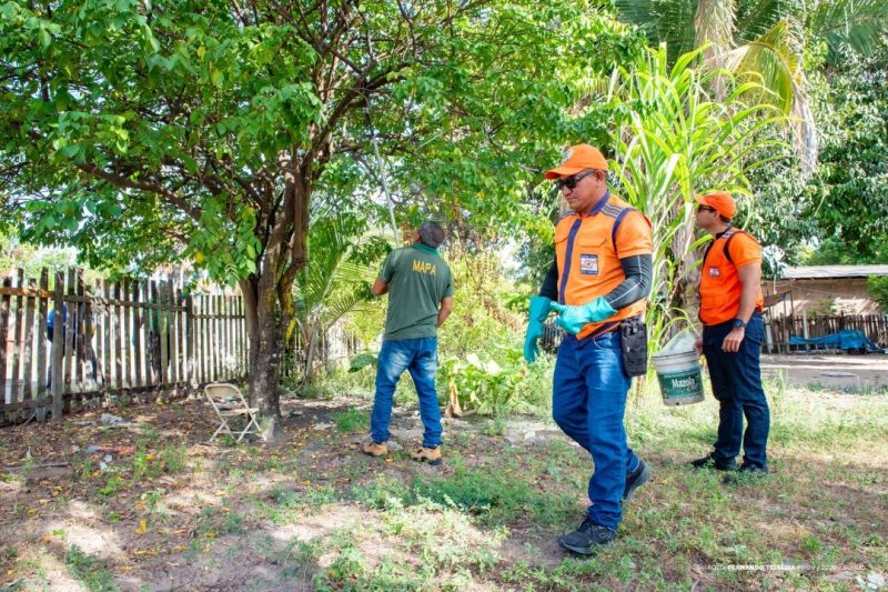 55054282737 09aaf1e93b k