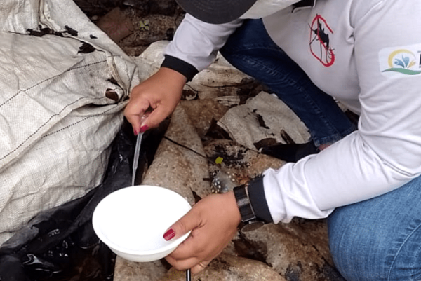 Alerta Dengue Arquivo Ascom Sesau 2