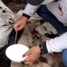 Alerta Dengue Arquivo Ascom Sesau 2