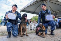 55078225709 fc151ee3a8 k