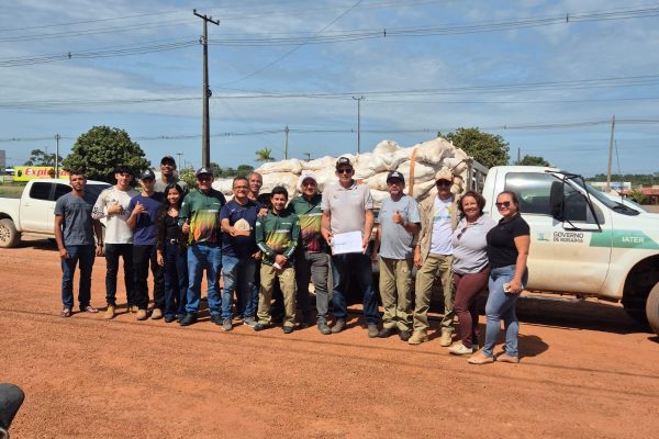 Distribuicao de mais de 400 mil sementes de Cacau Ascom Iater