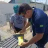 Roraima e confirmado como area livre da principal doenca dos citros no mundo Ascom Aderr 4