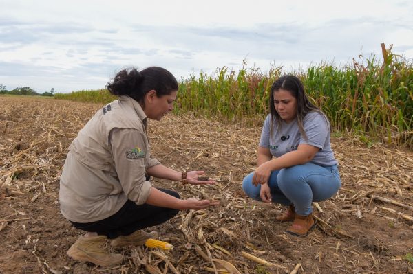 Tecnicos do Iater em atividade de campo Ascom Iater