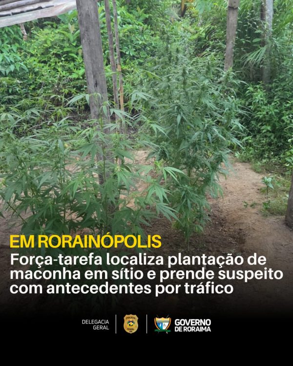 WhatsApp Image 2026 02 05 at 10.23.03