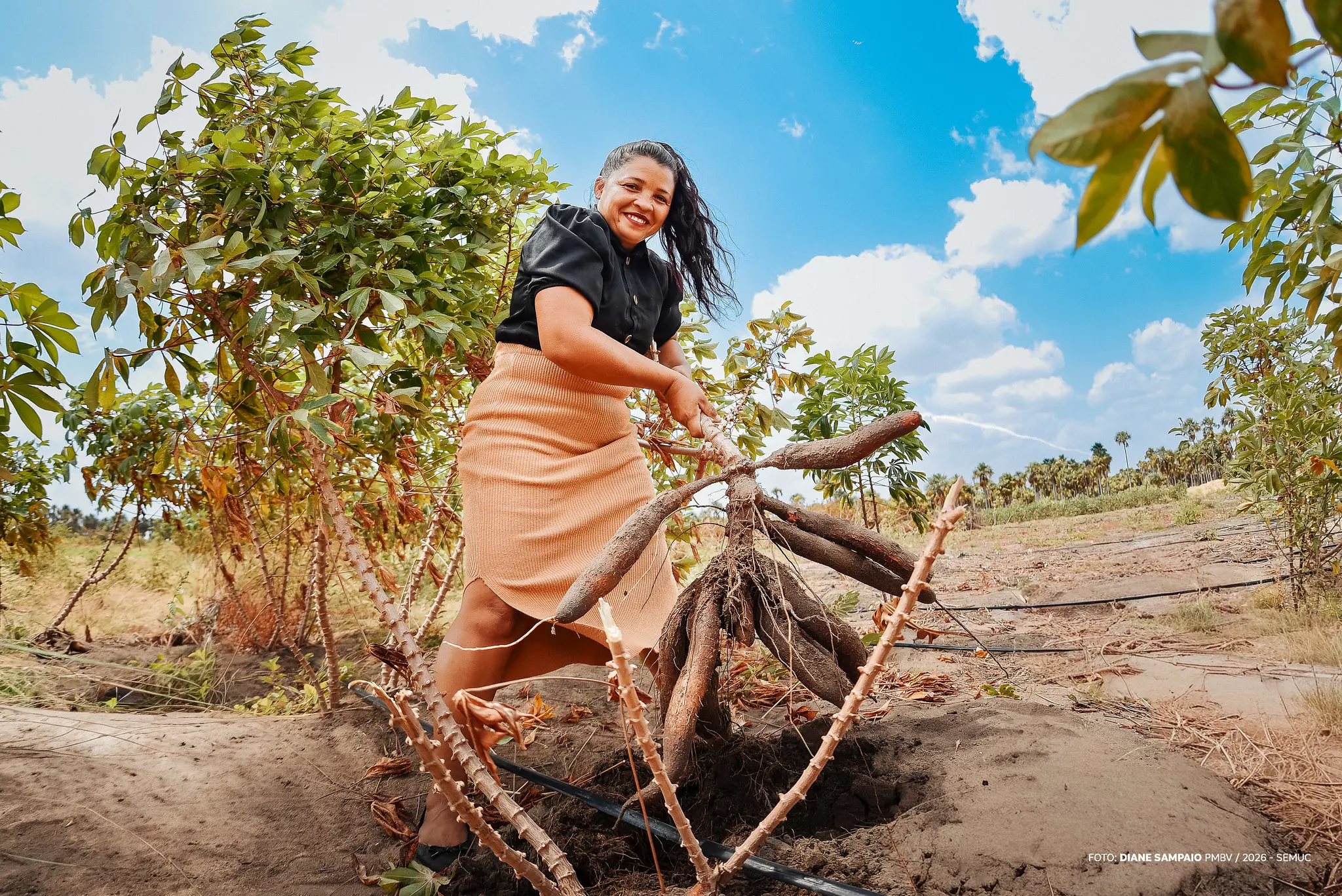 1772713268 459 Mulheres fortalecem agricultura familiar em Boa Vista