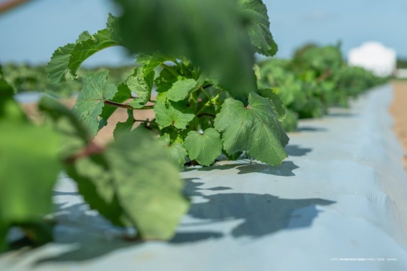 55131418147 b164b7ccda k