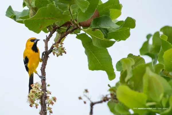 55145937515 70f8e9d8c3 k