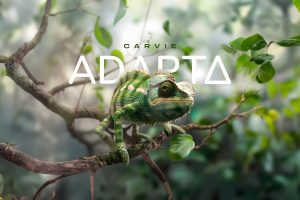 Adapta desenvolve um ecossistema de softwares flexíveis para PMEs