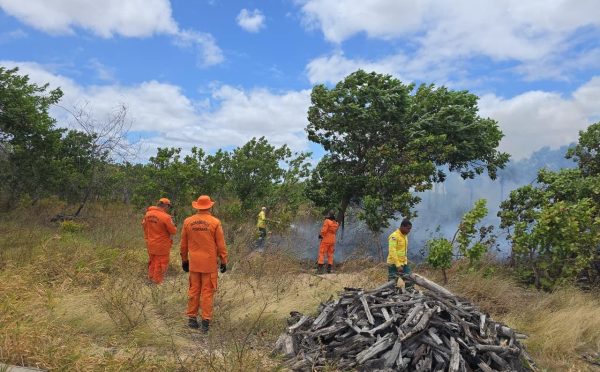 Corpo de Bombeiros reforca acoes contra queimadas em todo o Estado Ascom CBMRR 18