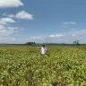 Fim do vazio sanitario 2