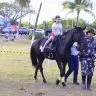 Governo leva Domingo no Parque ao bairro Pintolandia com programacao gratuita Fernando Oliveira SECO