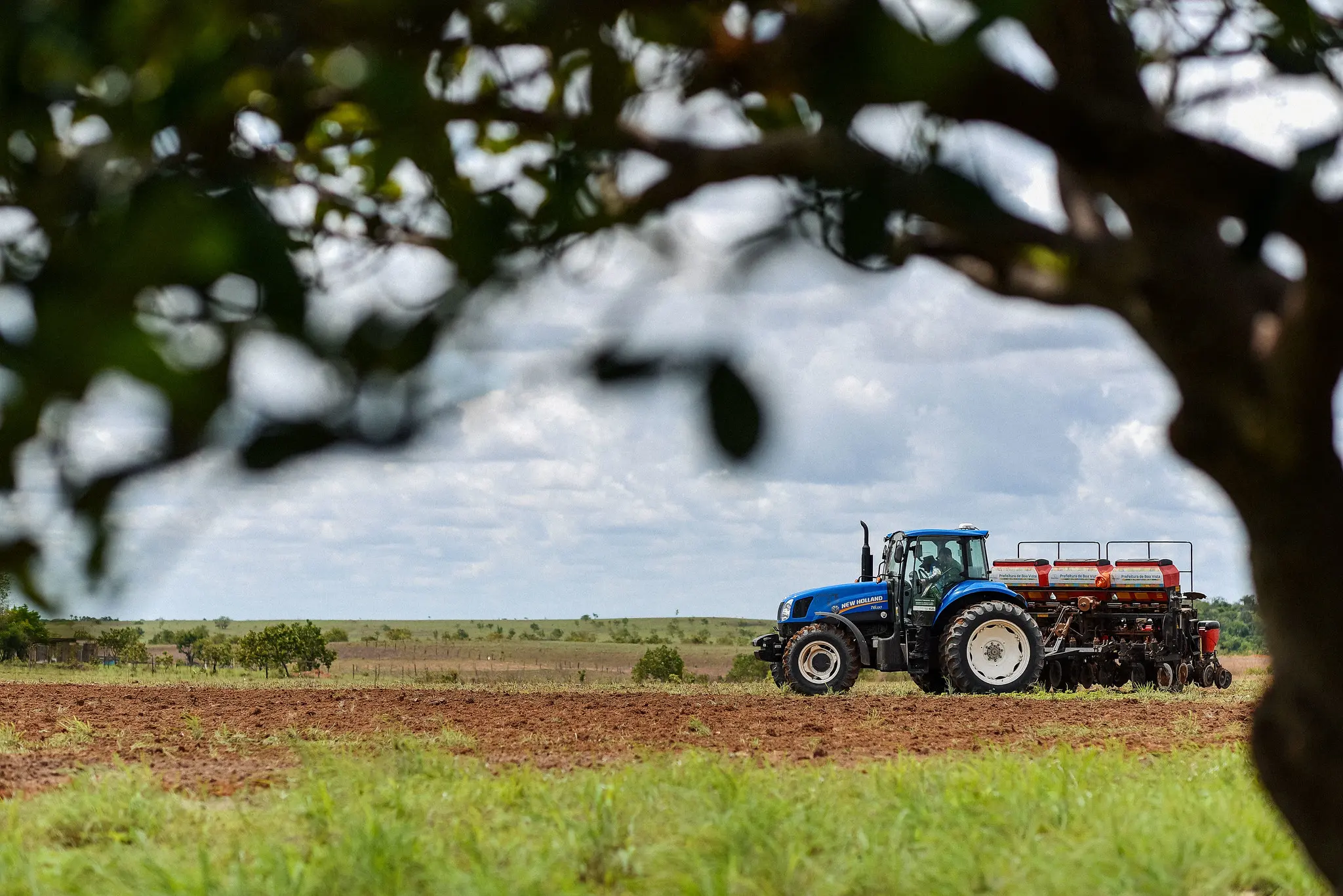 Mulheres fortalecem agricultura familiar em Boa Vista
