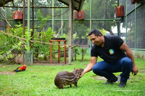 Inscrições abertas para protetores, ONGs e associações de proteção animal 3 cadastroanimais