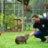 cadastroanimais