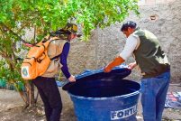 Mutirão da Prefeitura contra Aedes em 14 bairros 39 capavalendoo