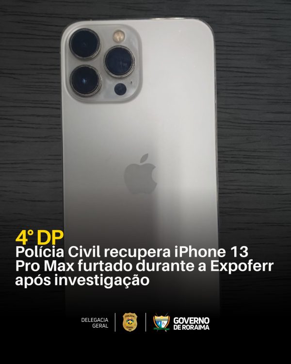 policiacivilderoraima 1773509113 3852795605190543314 5532320805