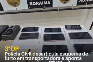 Polícia Civil desarticula esquema de furto em transportadora e aponta prejuízo superior a R$ 80 mil 9 policiacivilderoraima 1774729495 3863033021197262558 5532320805