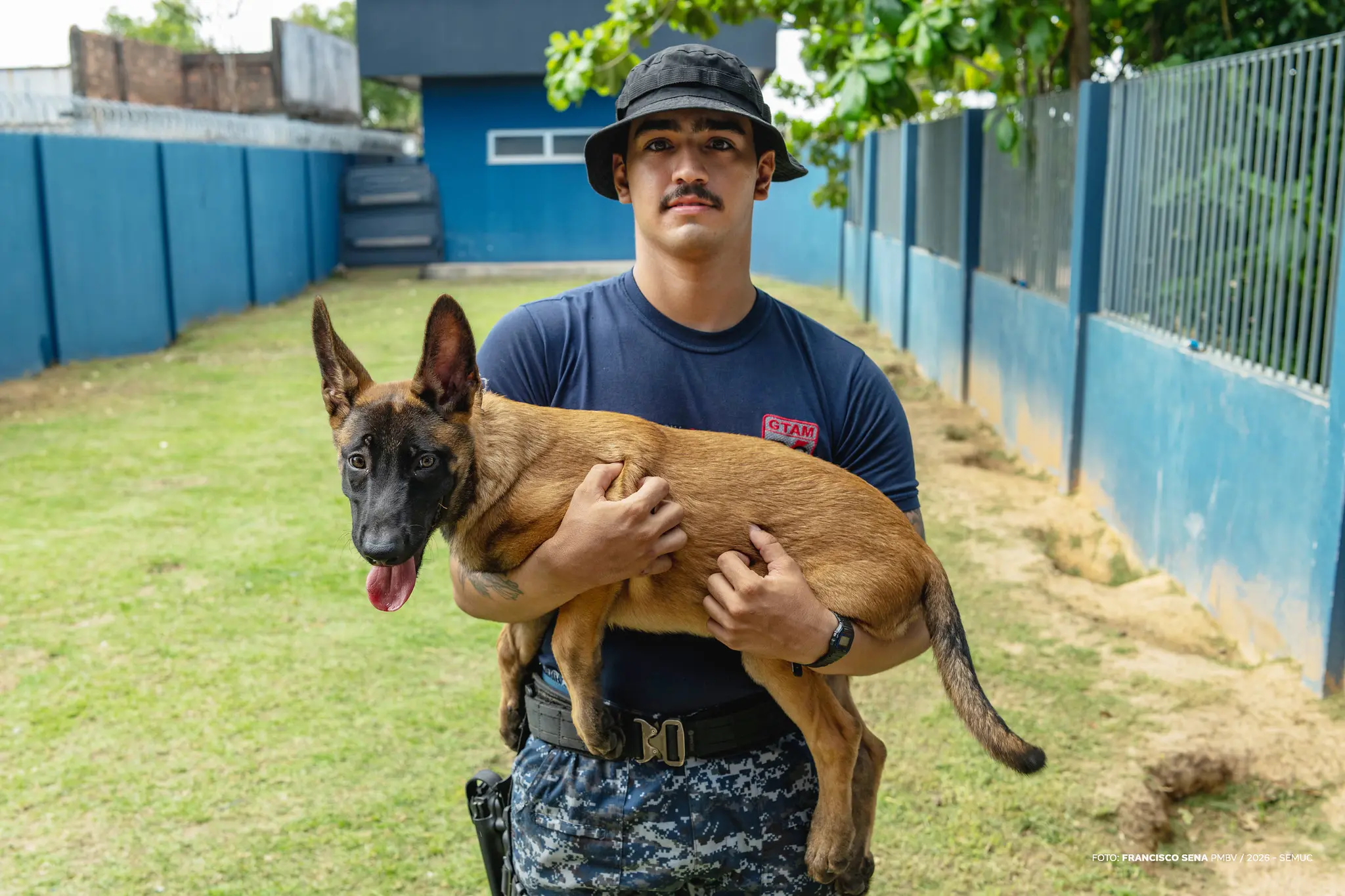 1776308946 70 Filhote de quatro meses com futuro na Patrulha Canina