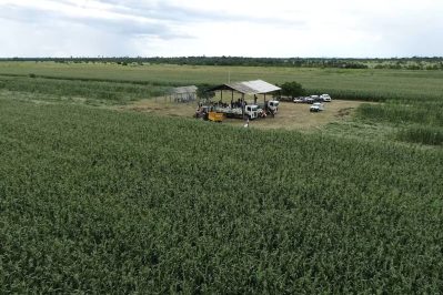 Grao Familiar em Campo Secom RR 9