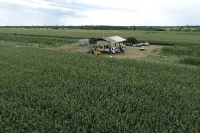 Grao Familiar em Campo Secom RR 9